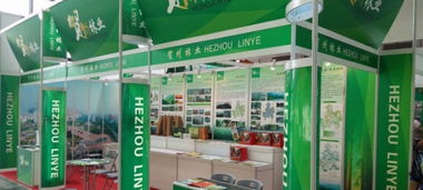 南寧會展公司 專業會展服務與特裝展廳搭建解決方案